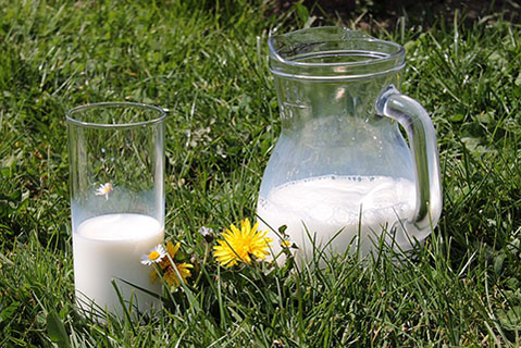 Молочная кислота аллергия на коровий белок thumbnail